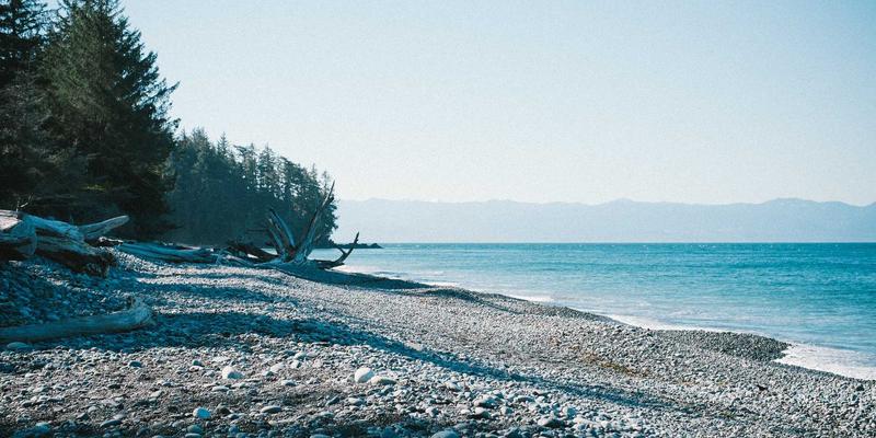 从朋友到恋人：婚姻咨询师揭示关系升级的关键节点与风险规避指南