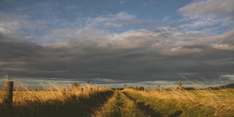 从约会到婚姻：现代婚恋交友全攻略与实用技巧