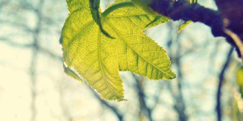 从约会到长久：恋爱指导助你避开婚恋交友的常见误区