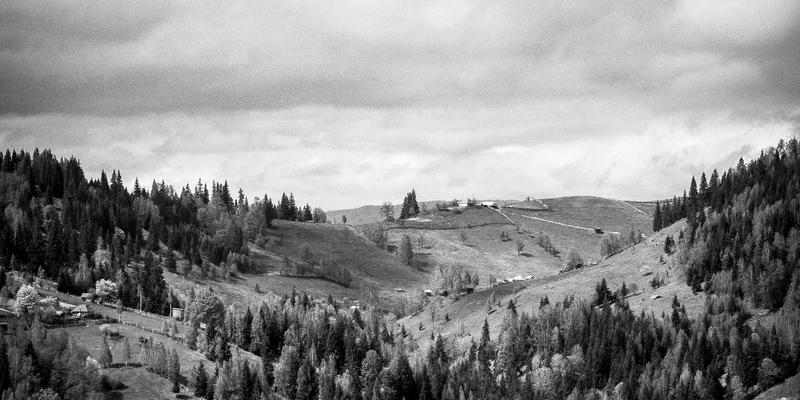 华夏之约：全球化时代跨文化婚恋交友的挑战、机遇与情感连接