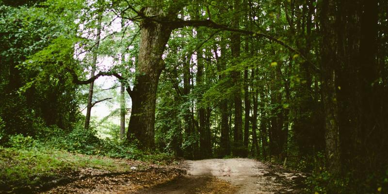 在速配时代如何通过约会与相亲培养长期亲密关系：慢关系倡导指南