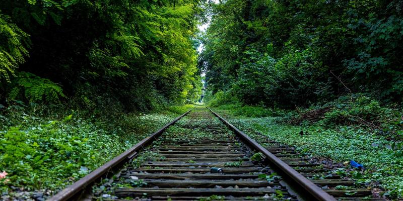 婚恋交友91：从初次约会到情感咨询的完整指南