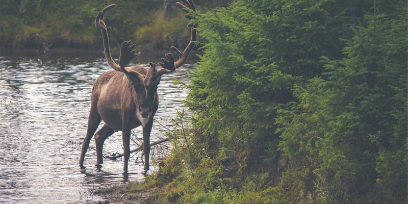 婚恋交友平台算法匹配的科学与局限：以华夏之约为例解析现代相亲