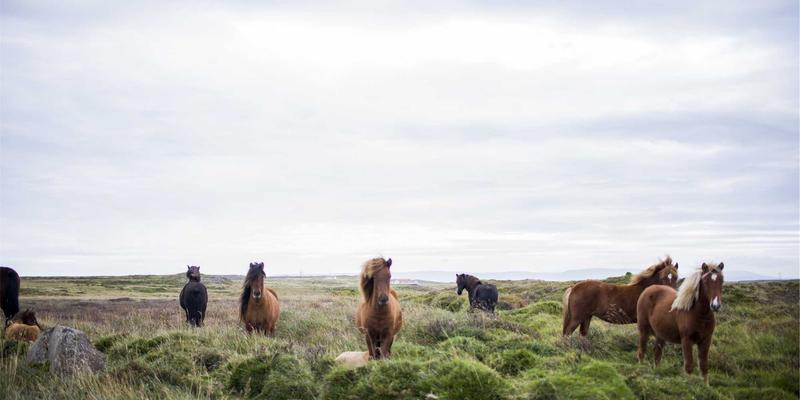 婚恋交友最佳实践：从情感咨询到恋爱指导，华夏之约的智慧启示