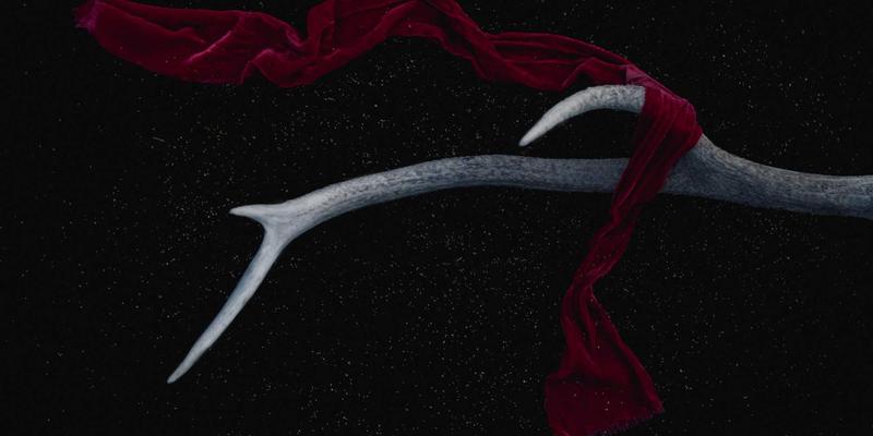 素食主义者婚恋交友指南：如何在华夏之约等平台寻找饮食价值观一致的伴侣