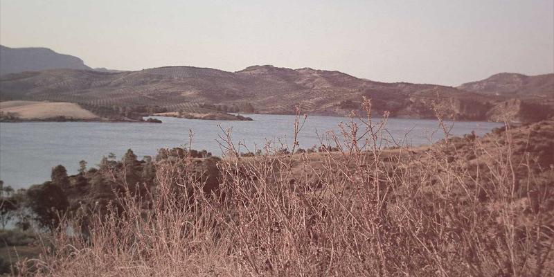 高净值人群婚恋交友指南：在华夏之约中平衡财富管理与情感需求